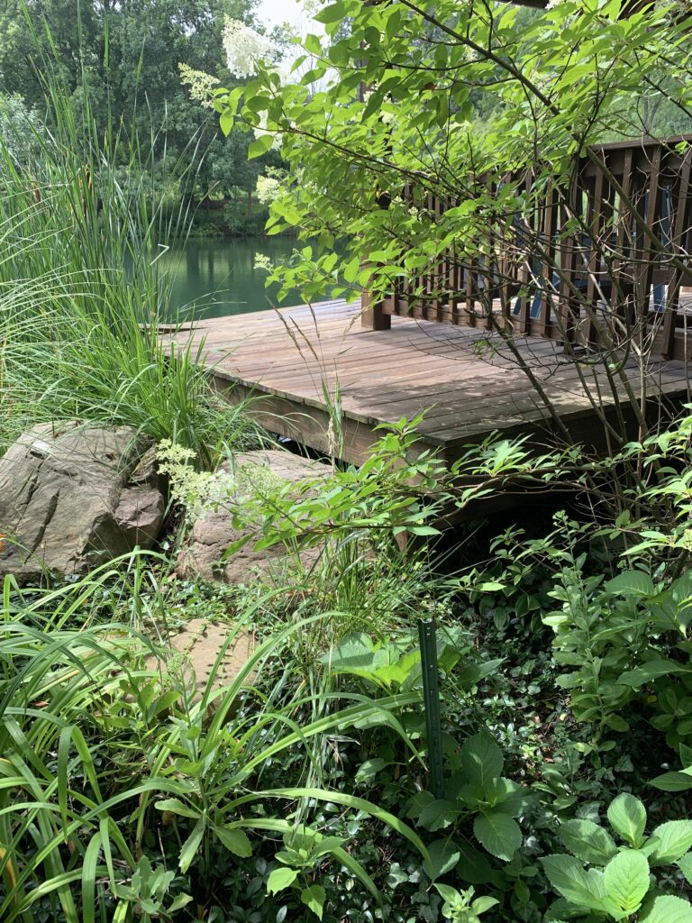 Pressure Washing Moreland Hills