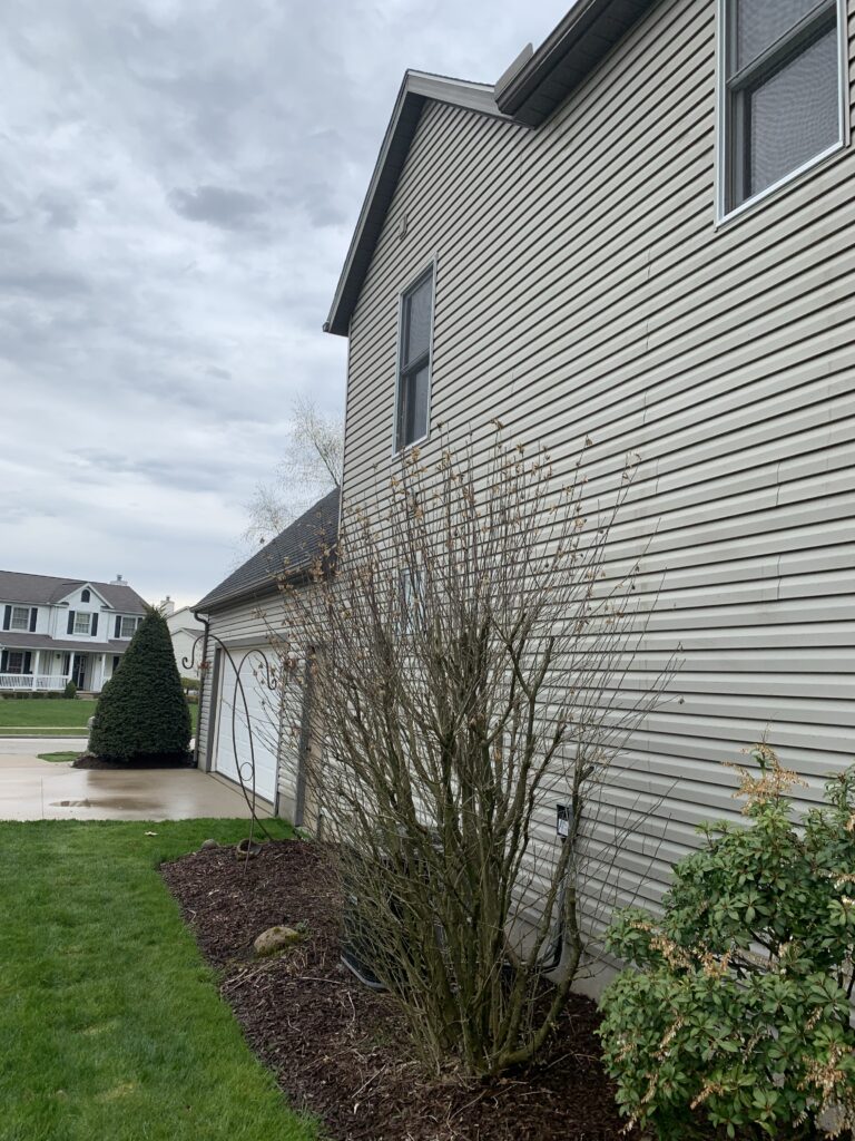 House Pressure Washing